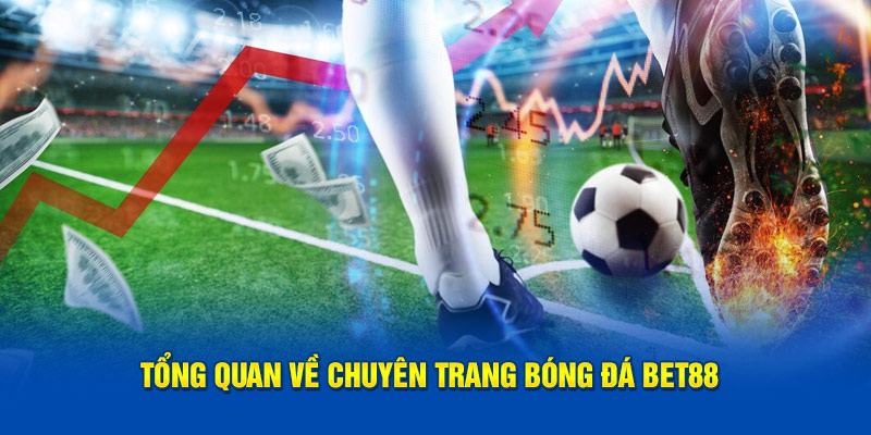 bet88 hợp tác cùng nhiều thương hiệu nổi tiếng và uy tín