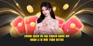 chính sách ưu đãi khachs hàng vip tại bet88